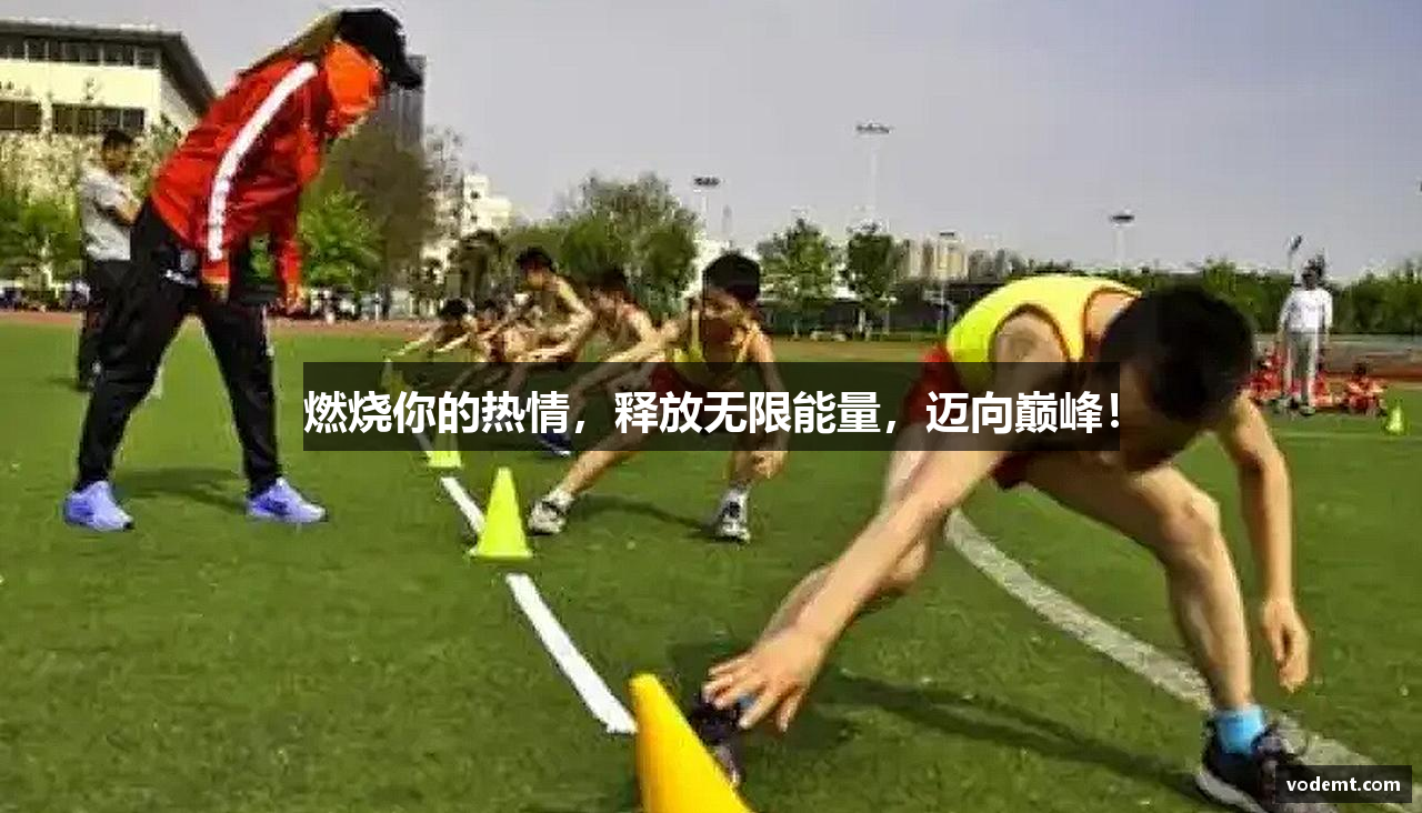 完美电竞平台官网